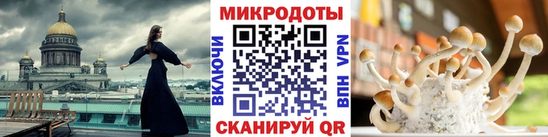 закладка  Карачаевск  Галлюциногенные грибы ЛСД 